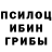 Галлюциногенные грибы мухоморы Ksuusha Goo